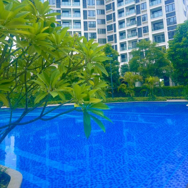 琼海博鳌小黄鸭康养公馆